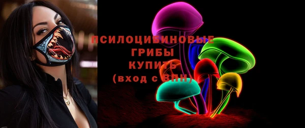 соль курить ск Медвежьегорск