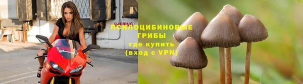 бошки Алексеевка