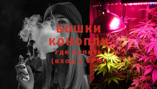 бошки Алексеевка