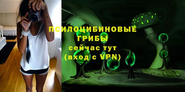 бошки Алексеевка