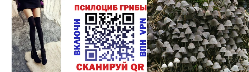 Псилоцибиновые грибы MAGIC MUSHROOMS Чишмы